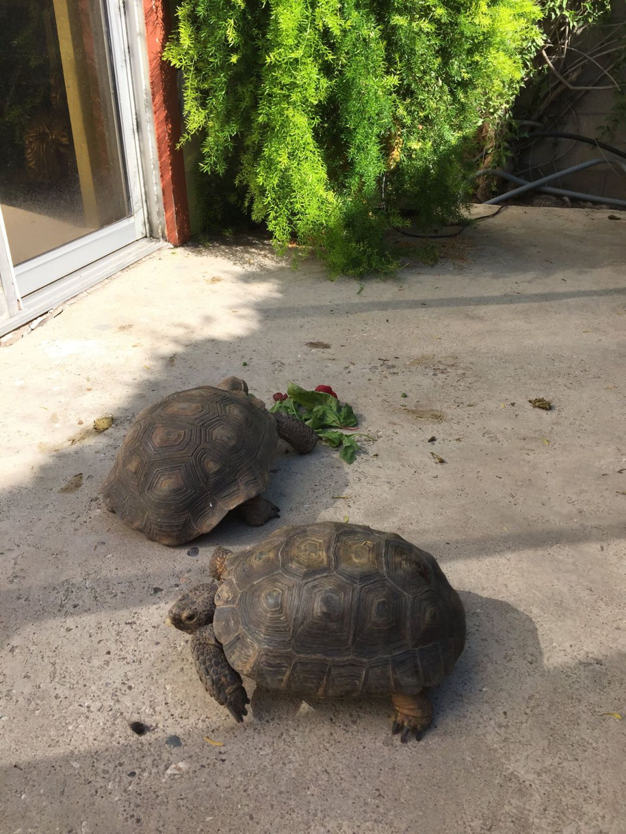 Mingling over a snack